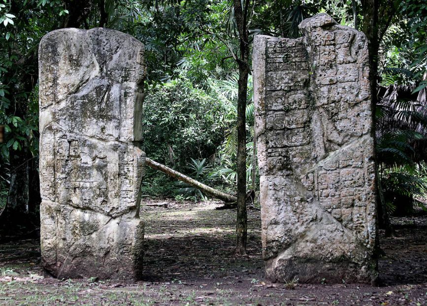 Exploración de la naturaleza (3 días 2 noches)