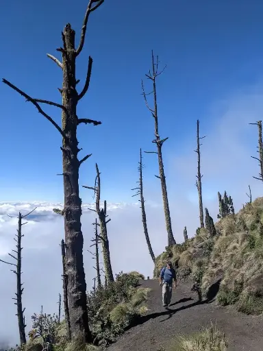 Day Tour Acatenango Summit 4x4