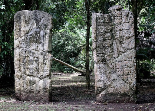 Exploración de la naturaleza (3 días 2 noches)